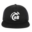 eBodyboarding Launch Baseball Flat Bill Hat Online now