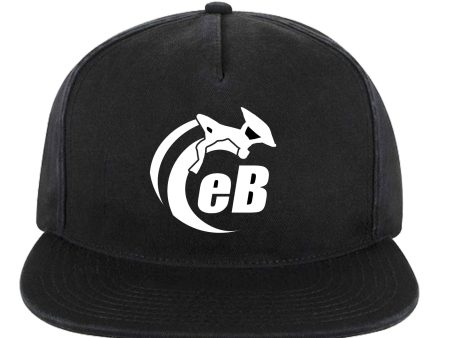 eBodyboarding Launch Baseball Flat Bill Hat Online now